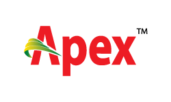 Apex